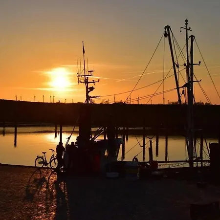 בית נופש Noordzee - Verslavend *