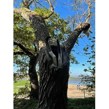 בית נופש Noordzee - Verslavend